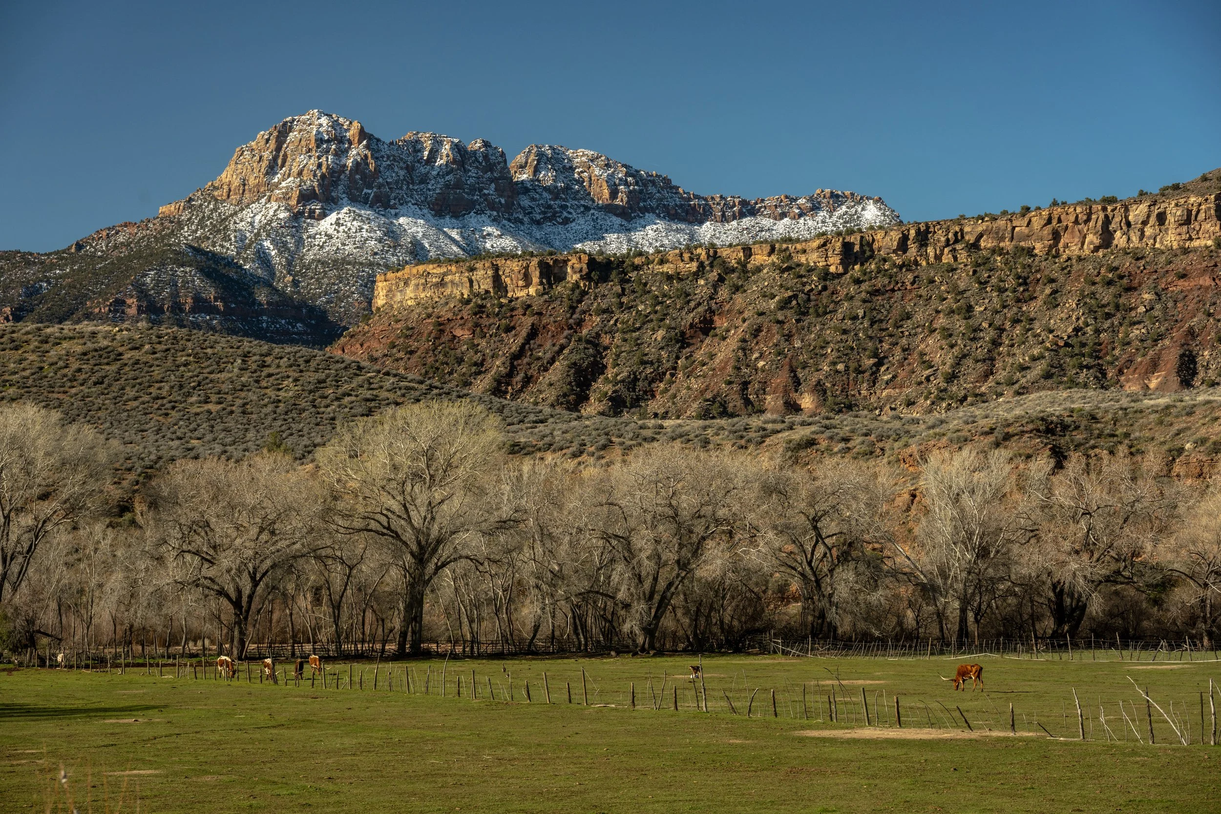 Chinle Trail and Coalpits Wash — Drive. Hike. Repeat.